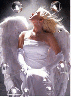 /album/galeria-de-fotos-pagina-inicial/a106-med-gif/