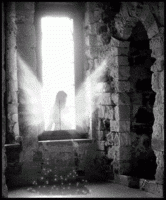 /album/galeria-de-fotos-pagina-inicial/a104-med-gif/